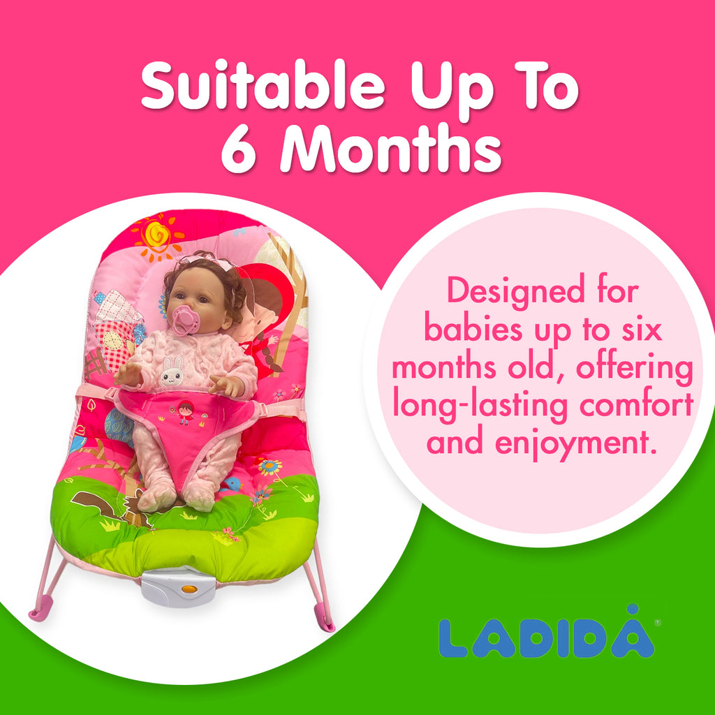 LADIDA My First Baby Bouncer with various styles 006