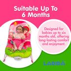 LADIDA My First Baby Bouncer with various styles 006