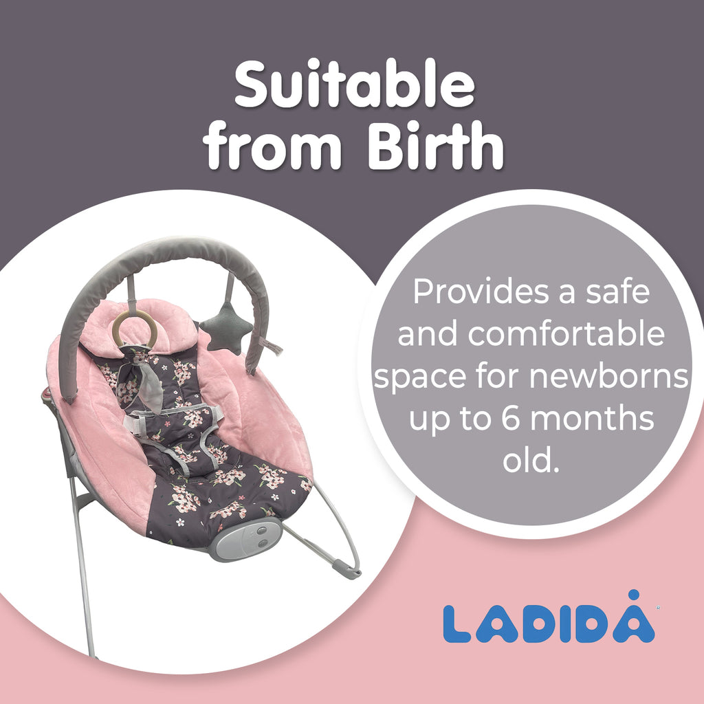 Blossom Baby Bouncer with Soothing Music and Viberation 148