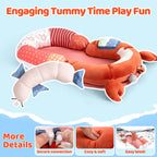 LADIDA 4-in-1 Baby Tummy Time Pillow & Seated Support Playmat,Easy to Clean,Cute Crab Design for 0-36Months Infant (Red) 2502