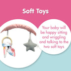LADIDA Sakura Baby Bouncer With Soothing Music and Viberation-147