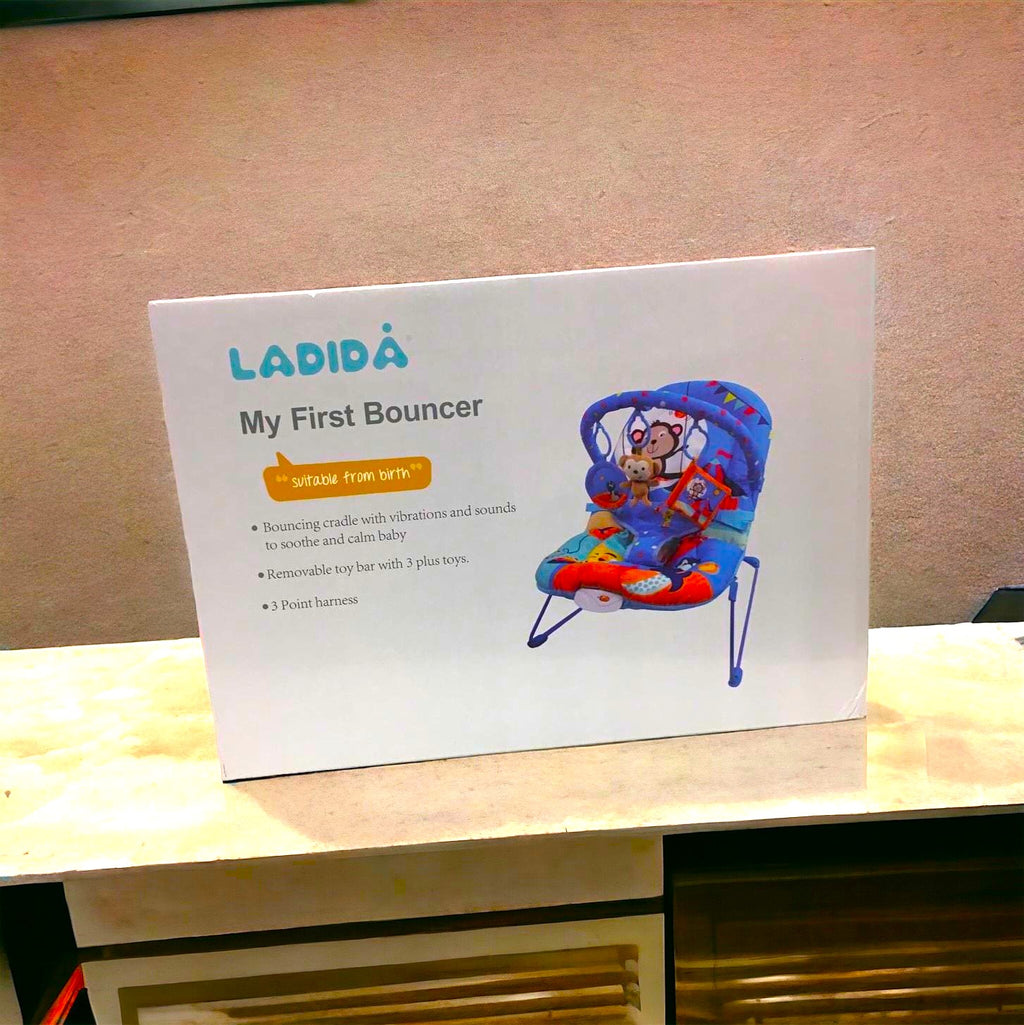 LADIDA My First Baby Bouncer with various styles 006