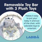 Blue Dinosaur Soft Padded Reclinable Baby Bouncer with Music, White Noise, Viberation 696