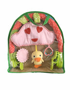 Duck Toy Arch
